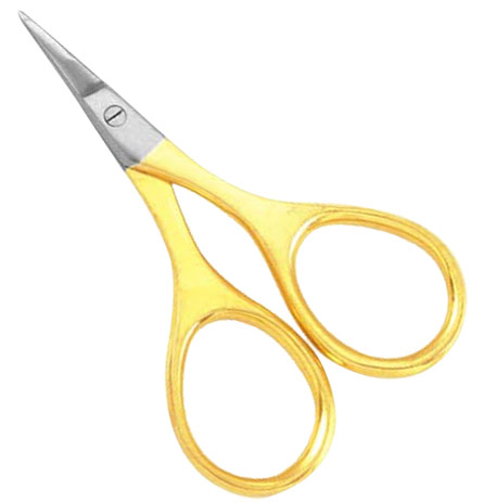 Common Scissor