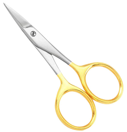 Common Scissor