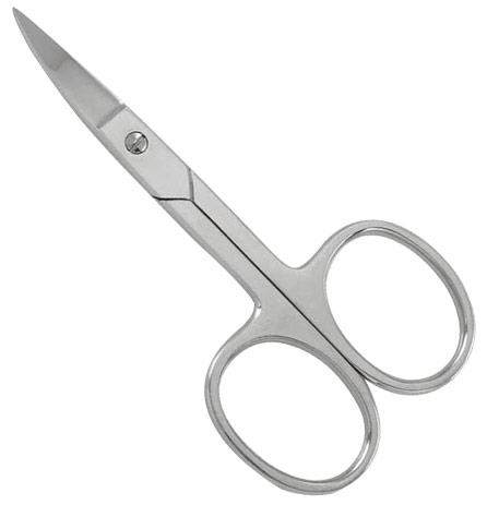 Common Scissor