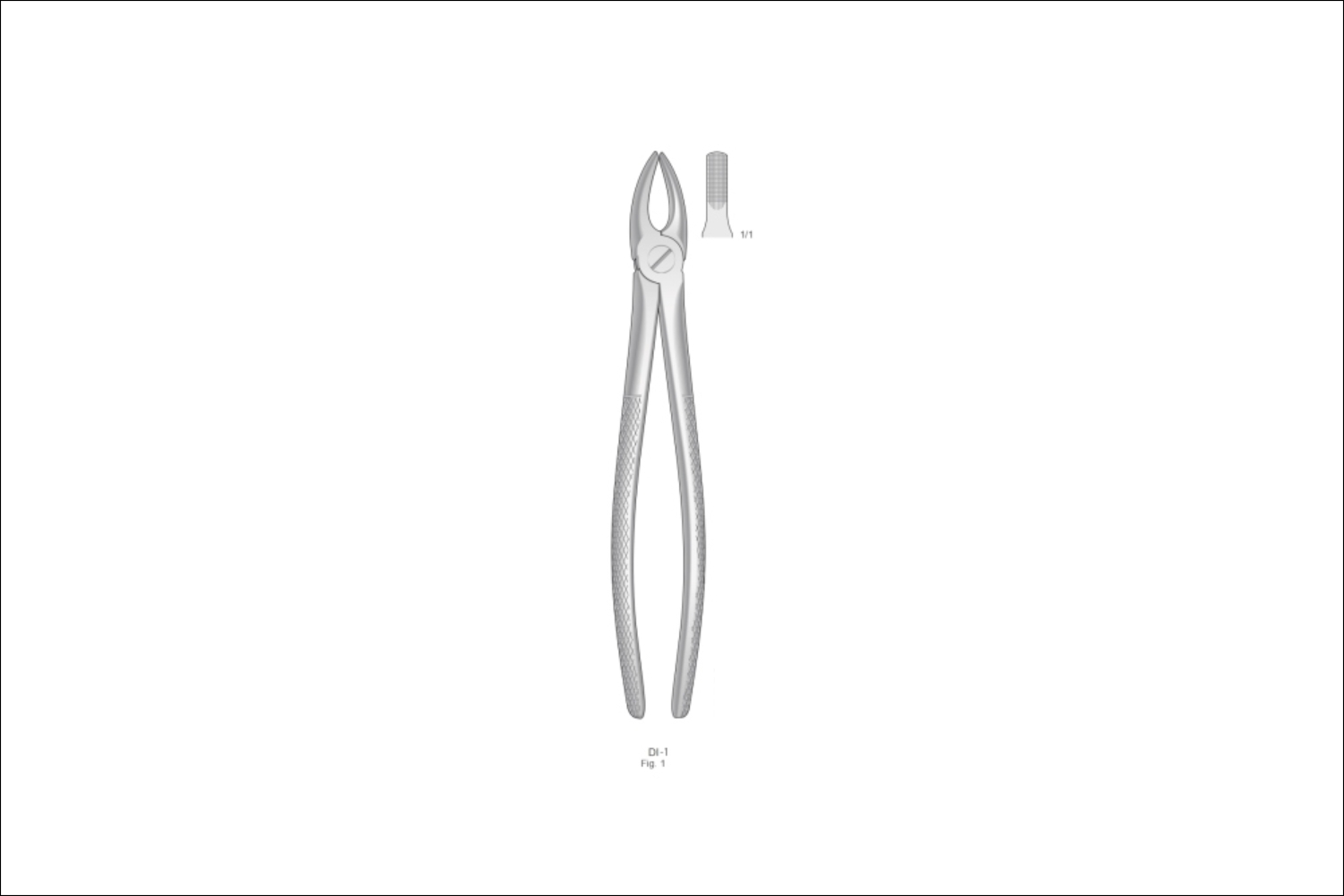 Extracting Forceps English Patteren