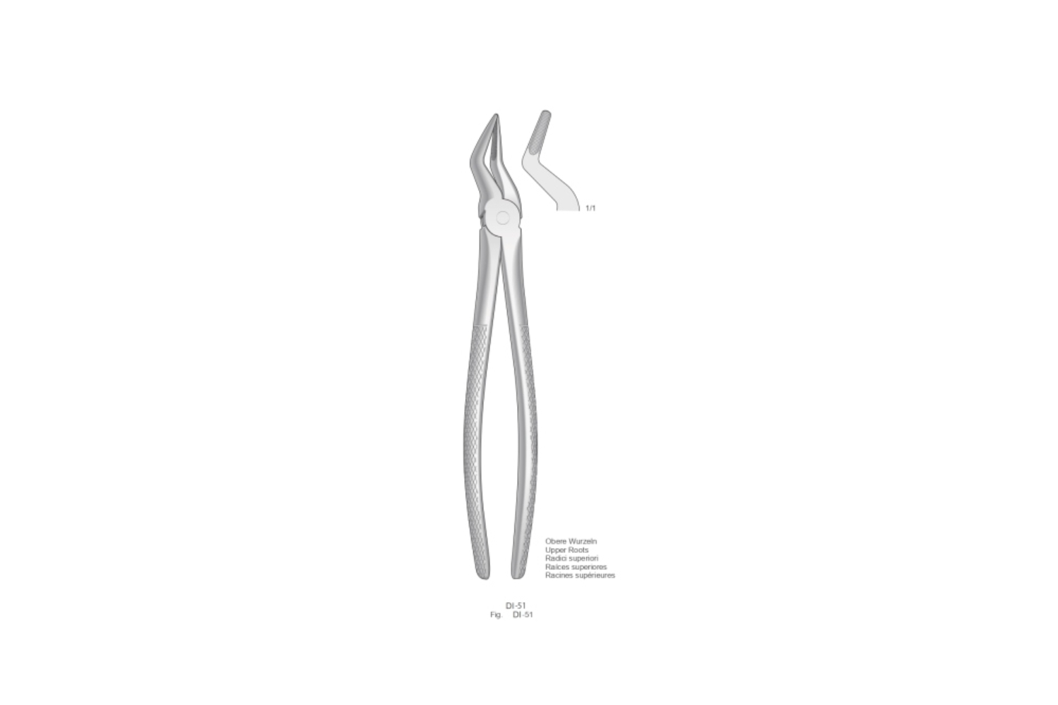 Zahnzangen English Form Extracting Forceps