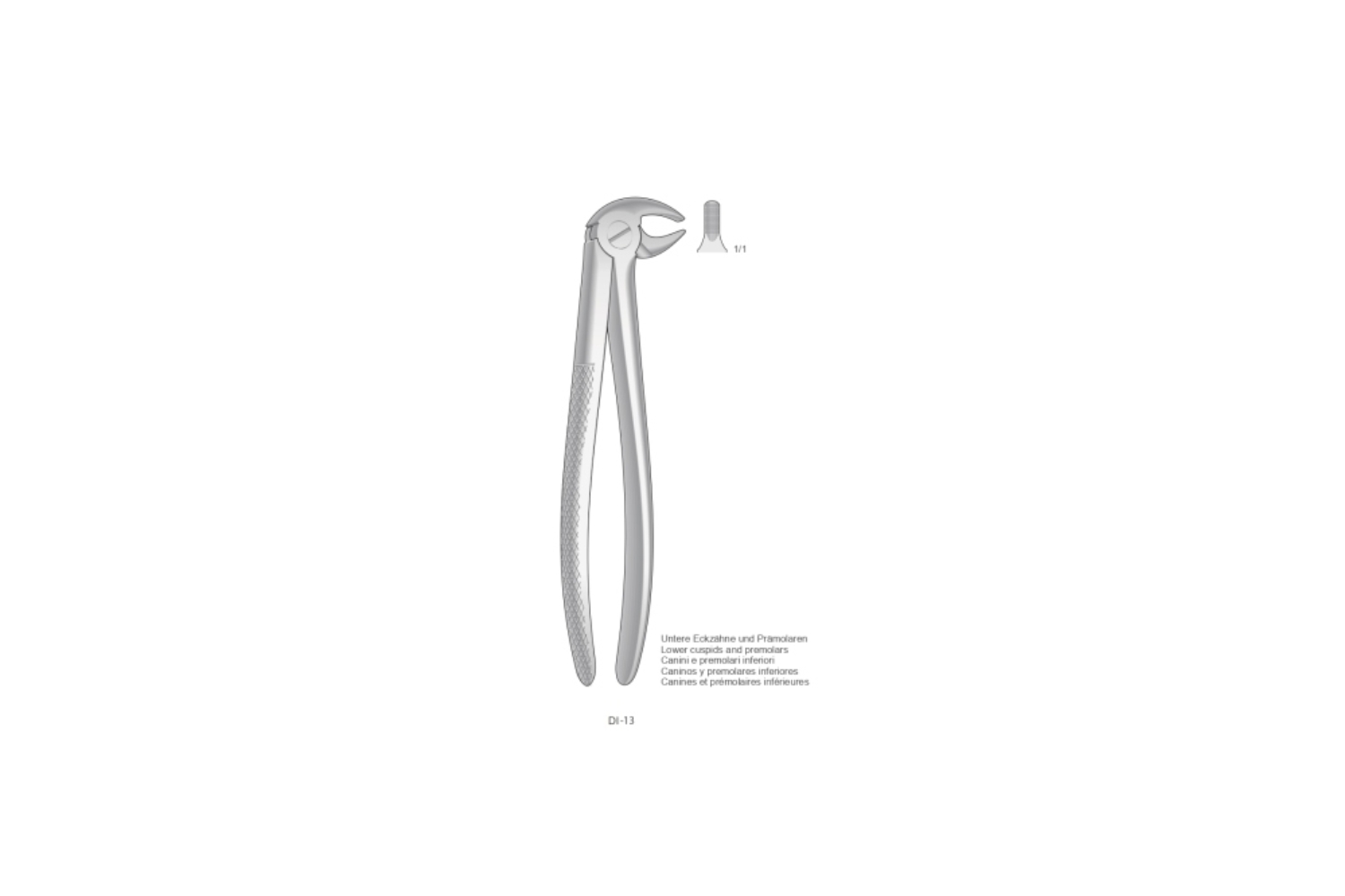 Zahnzangen English Form Extracting Forceps