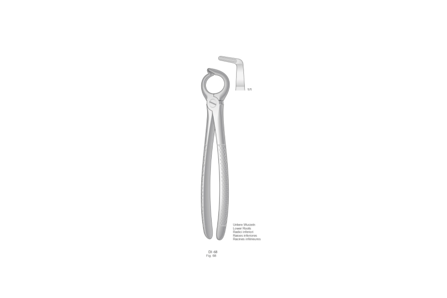 Zahnzangen English Form Extracting Forceps