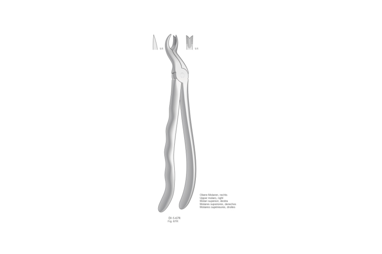 Zahnzangen Pabformgriff Extracting Forceps