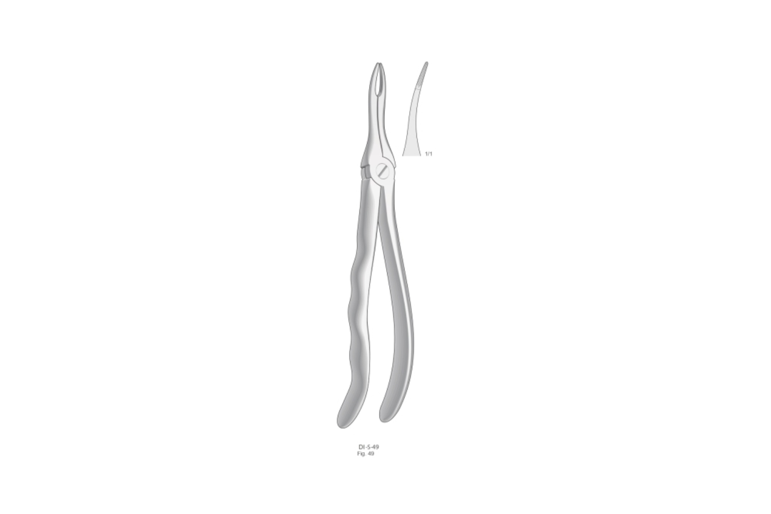 Zahnzangen Pabformgriff Extracting Forceps