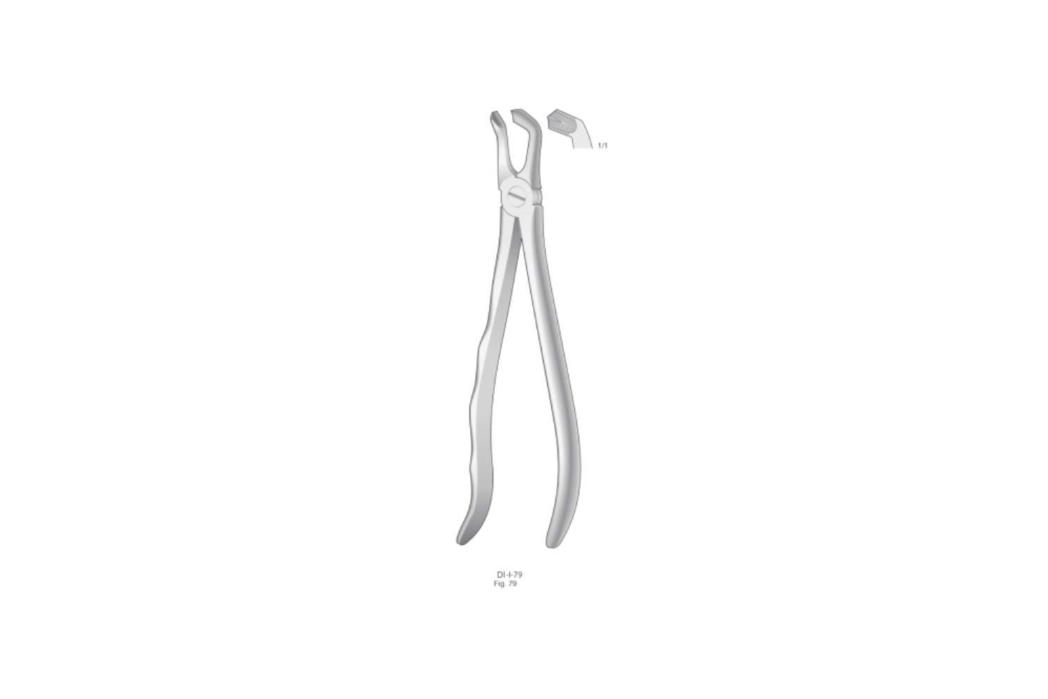 Zahnzangen Pabformgriff Extracting Forceps