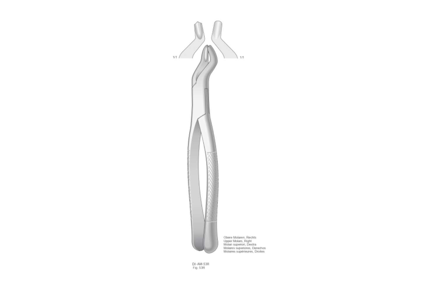 Zahnzangen Amerikanische Form Extracting Forceps